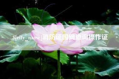 固安消防证国网查询操作证