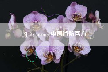 固安中国消防官方