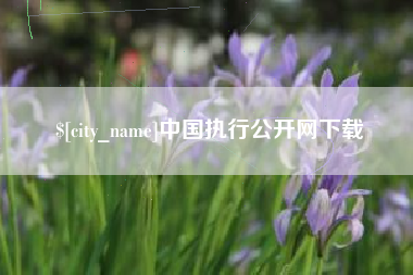 固安中国执行公开网下载
