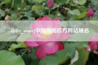 固安中国消防官方网站域名