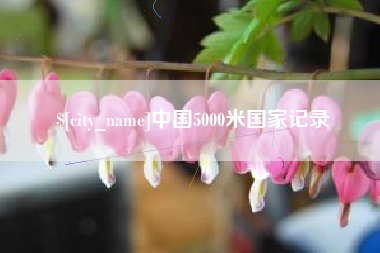 固安中国5000米国家记录