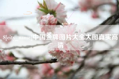 固安中国金牌图片大全大图真实高清