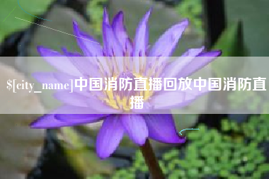 固安中国消防直播回放中国消防直播