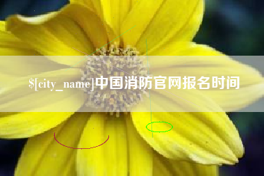 固安中国消防官网报名时间