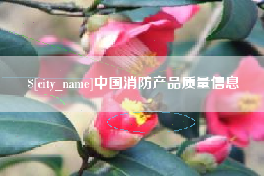 固安中国消防产品质量信息