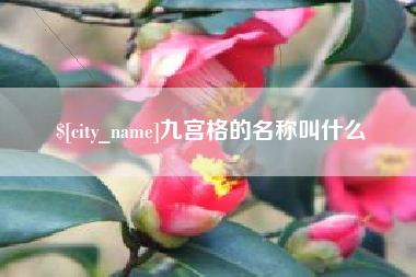 固安九宫格的名称叫什么