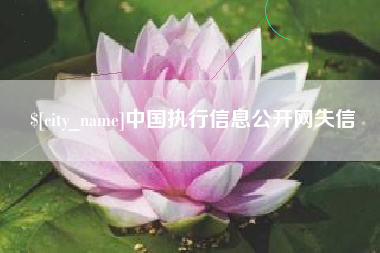 固安中国执行信息公开网失信