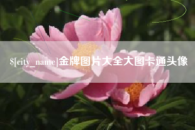 固安金牌图片大全大图卡通头像