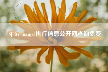 固安执行信息公开网查询免费