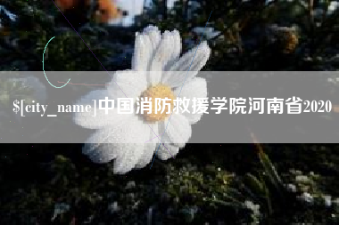 固安中国消防救援学院河南省2020